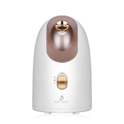 Hot and cold face steamer